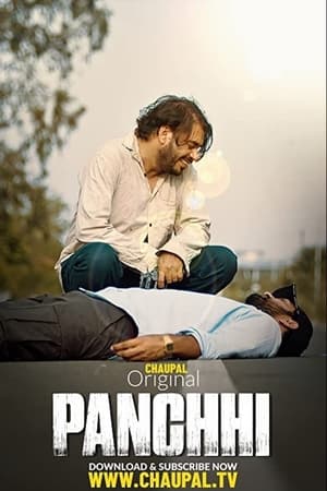 Panchhi (2021) Punjabi Movie [750MB]