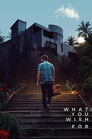 What You Wish For 2023 Dual Audio Hindi – –